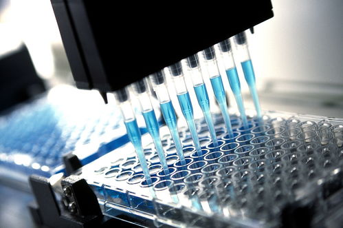 市值蒸發近400億，華蘭生物營收增速停滯 新冠疫苗之路何去何從？